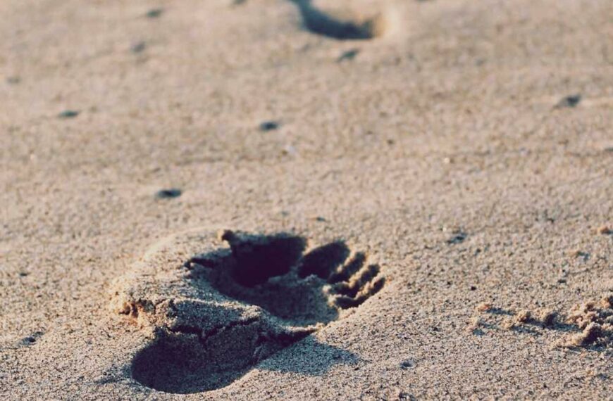 Qui quibusdam ipsam asperiores quia nobis