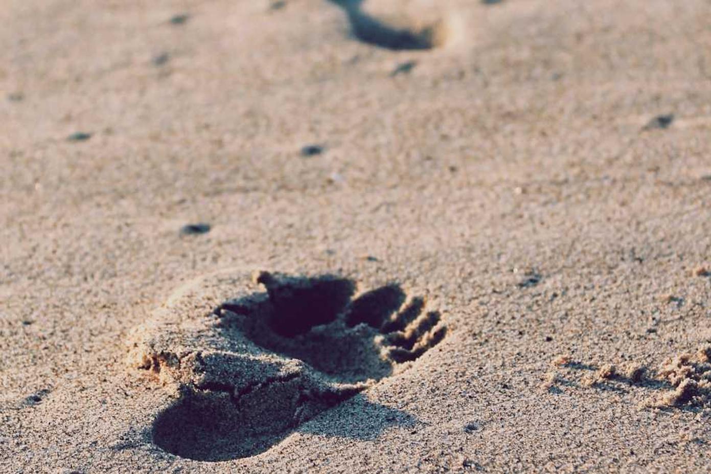 Adipisci aperiam et ab sint neque quos reiciendis rerum ipsam id