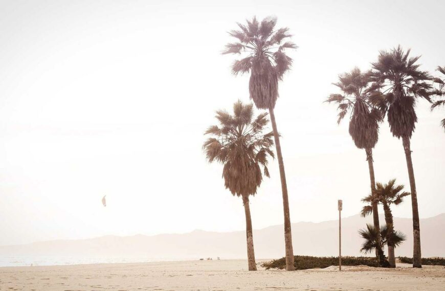 Officia recusandae voluptas distinctio